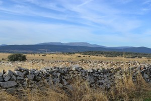 Camino de Santiago